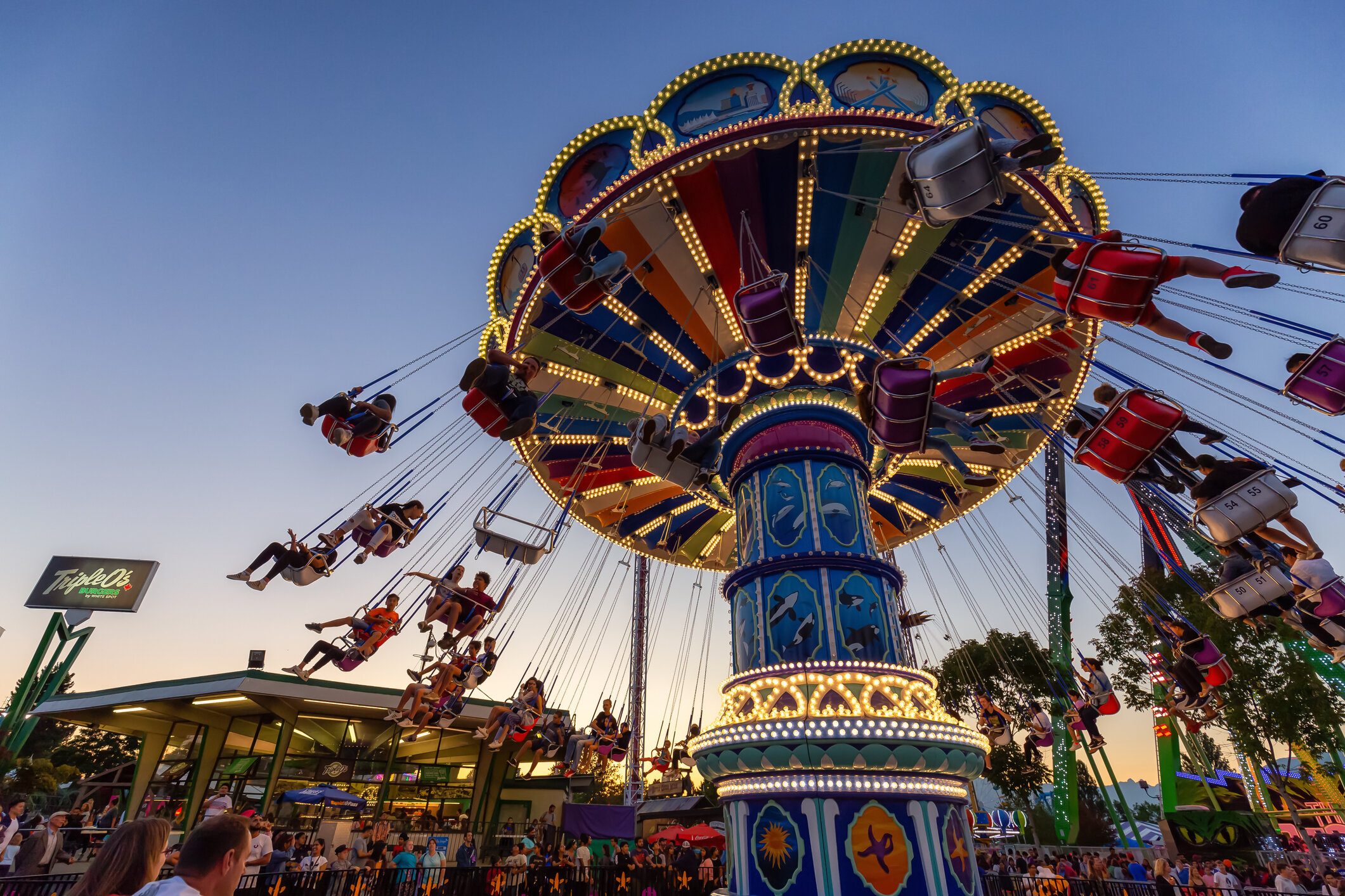 We Don’t Wanna Grow Up – Playland