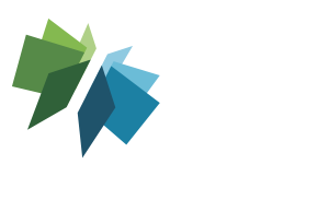 BC Libraries Cooperative Animated Video Production