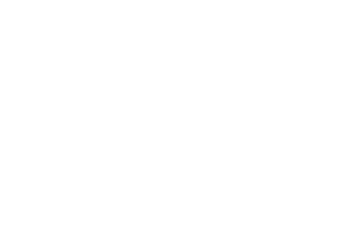 Bastion Website Design & Development