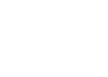 Alture Properties Brand & Website