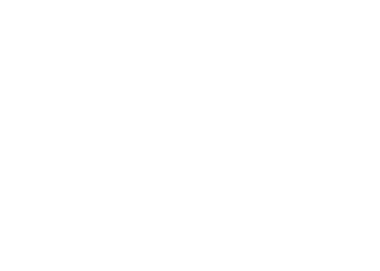 Detailed Infographics for the Canadian Association of Occupational Therapists