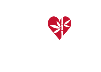 Villa Cathay Care Home Website Design and Development