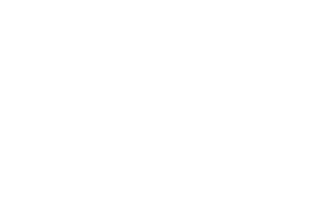 Reimagining MV Rides With Impactful, Modern Branding